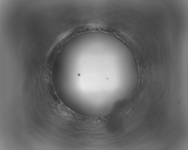 X0000054391207200508121624