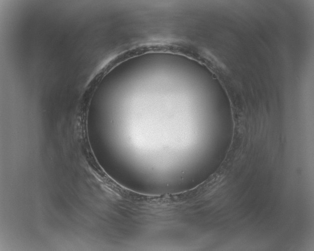 X0000054391208200508121624