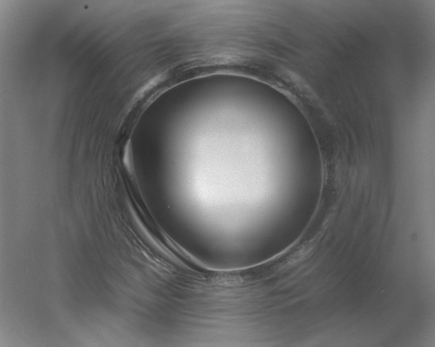 X0000054391210200508121624