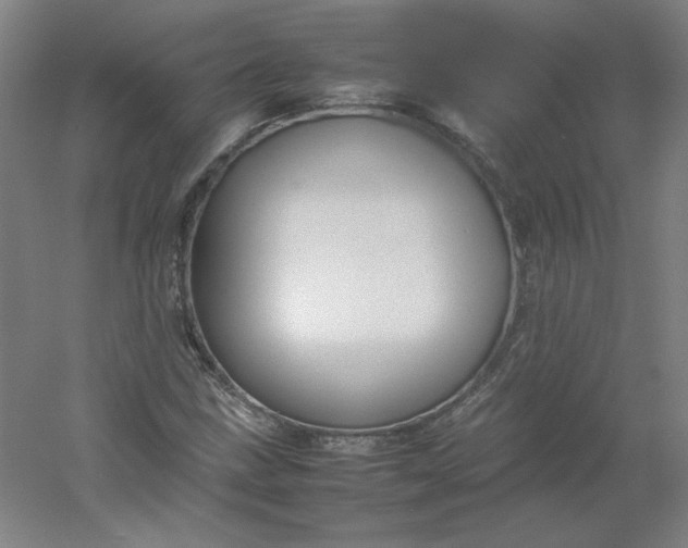 X0000054391211200508121624