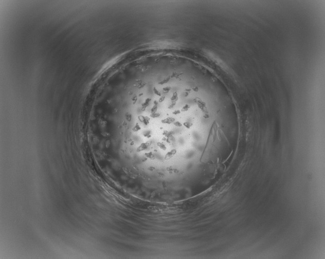 X0000054391213200508121624