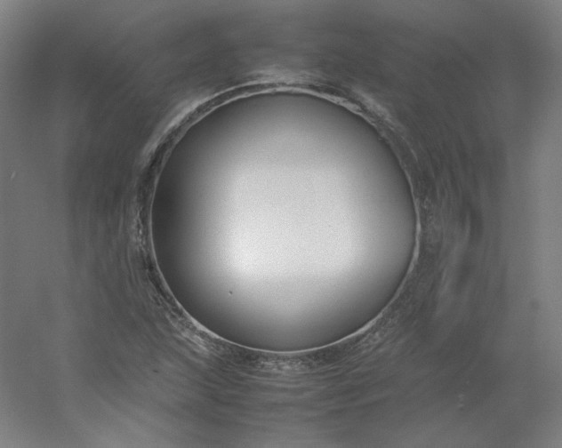 X0000054391215200508121624