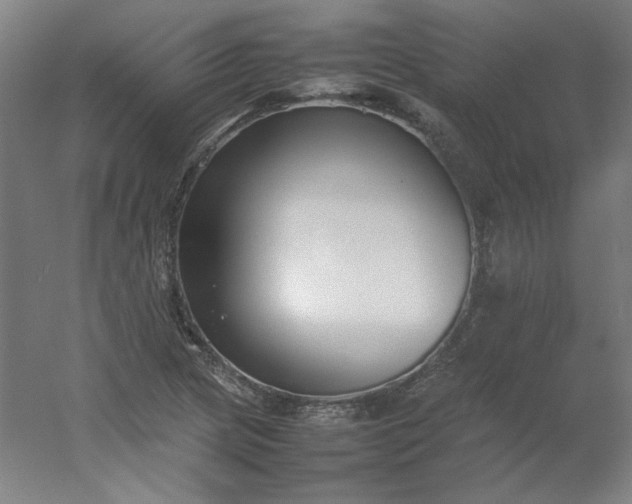 X0000054391217200508121624