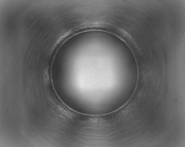 X0000054391218200508121624