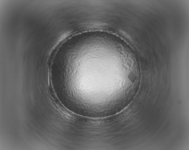 X0000054391219200508121624