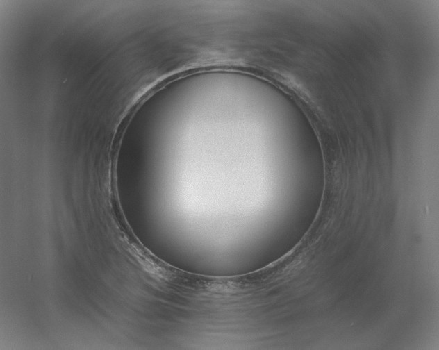 X0000054391220200508121624