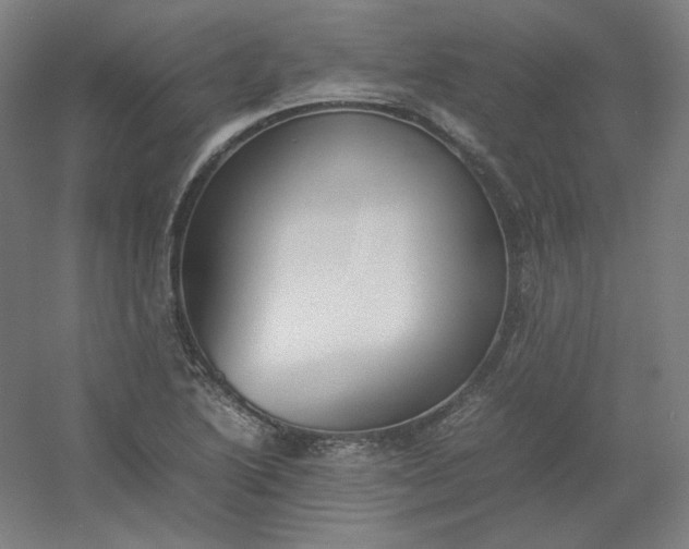 X0000054391222200508121624