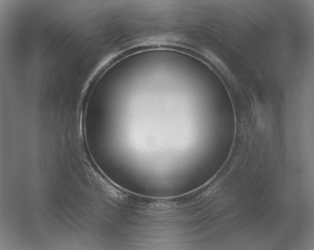 X0000054391224200508121624