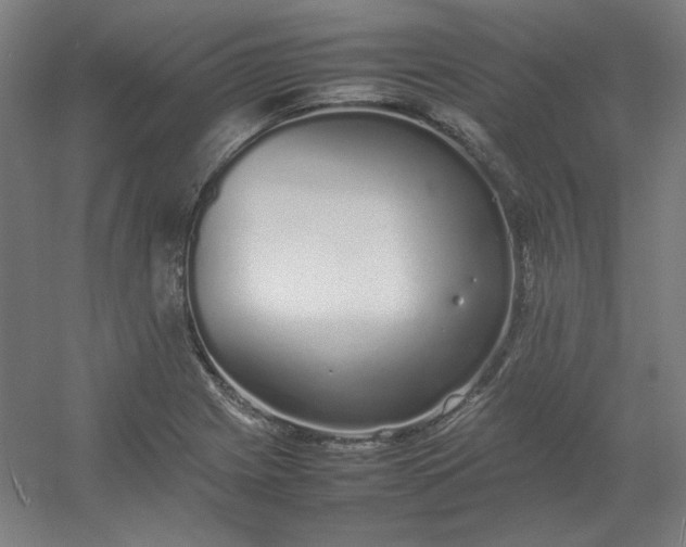 X0000054391225200508121624