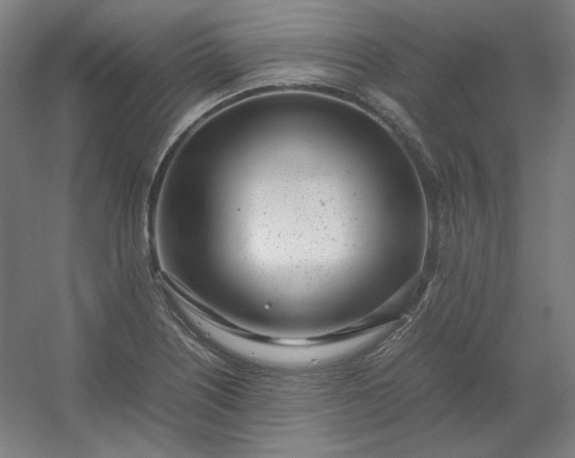 X0000054391226200508121624