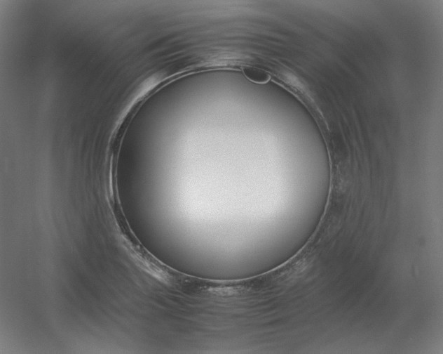 X0000054391227200508121624