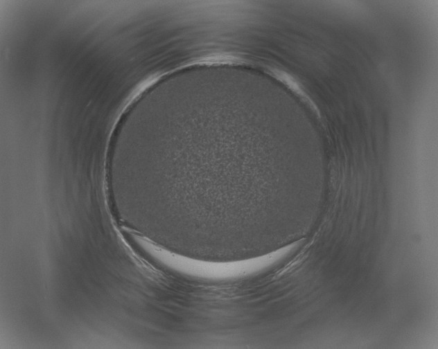 X0000054391229200508121624