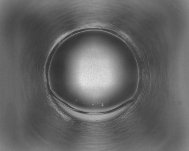 X0000054391230200508121624