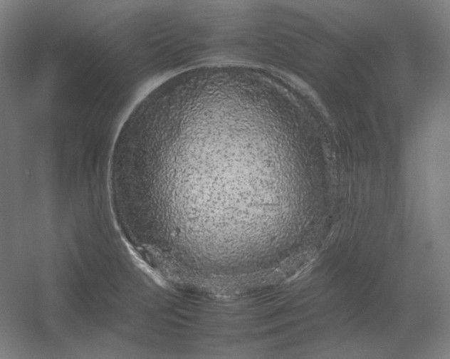 X0000054391231200508121624