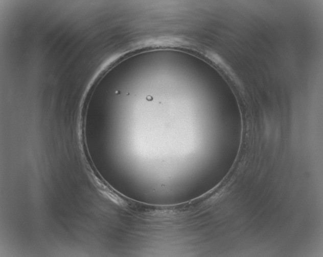 X0000054391232200508121624