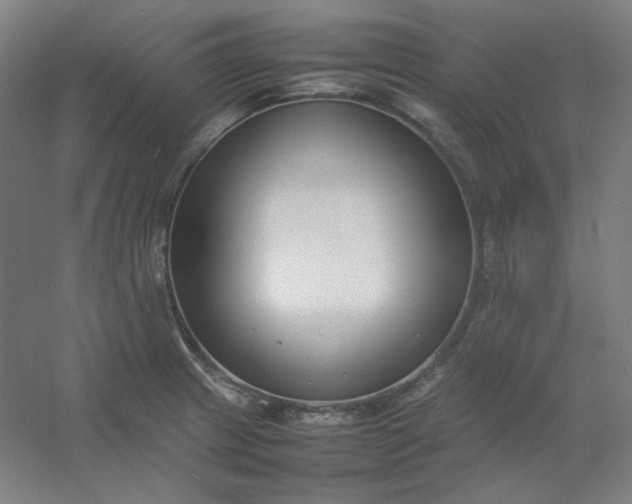 X0000054391233200508121624