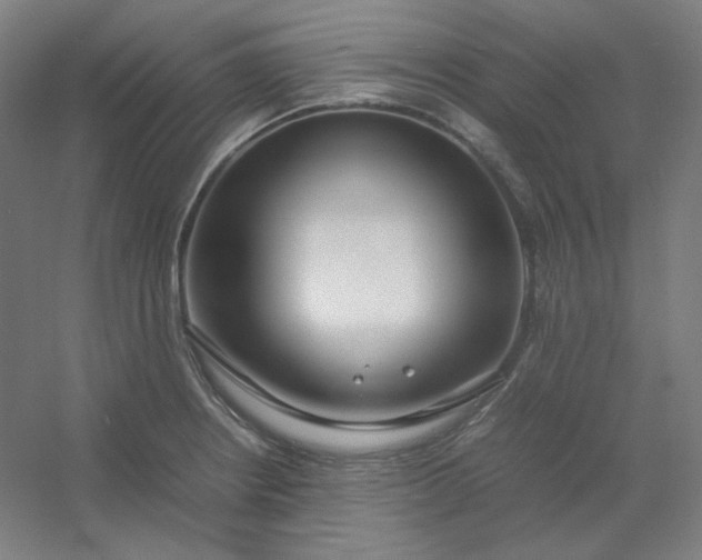 X0000054391234200508121624