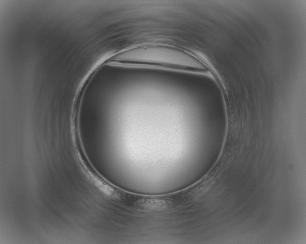 X0000054391235200508121624