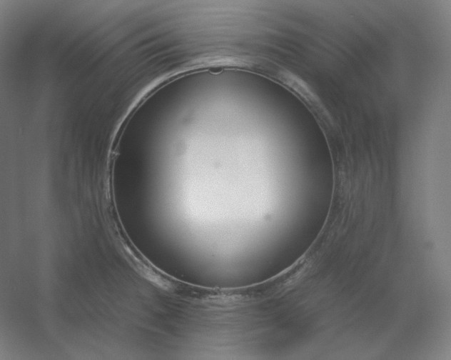 X0000054391236200508121624