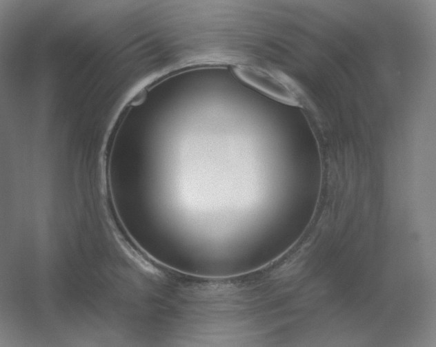 X0000054391238200508121624