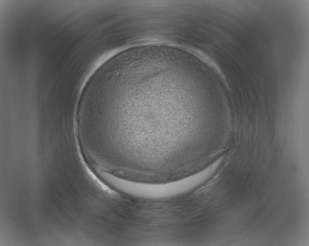 X0000054391239200508121624