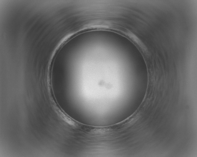 X0000054391240200508121624