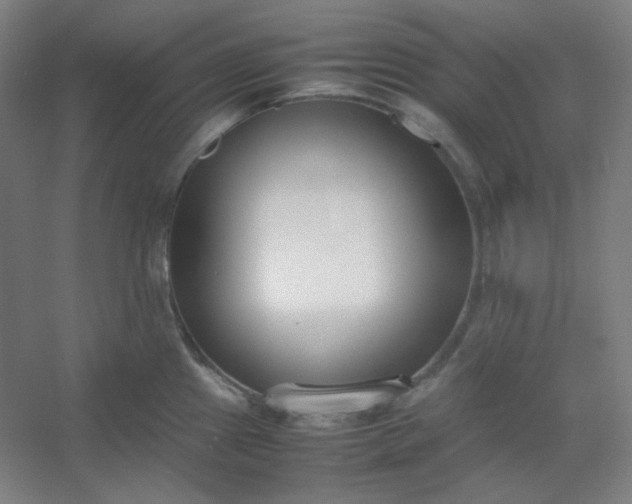 X0000054391241200508121624