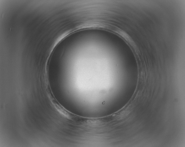 X0000054391242200508121624