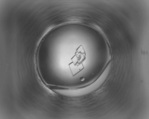 X0000054391243200508121624