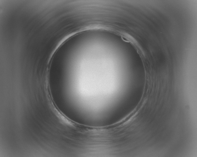 X0000054391244200508121624