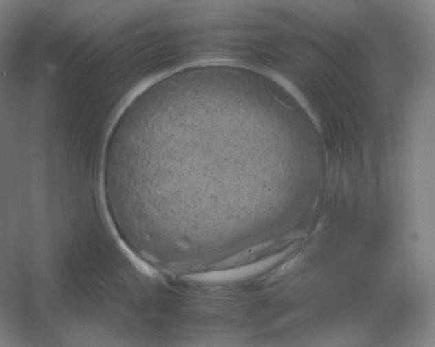 X0000054391245200508121624