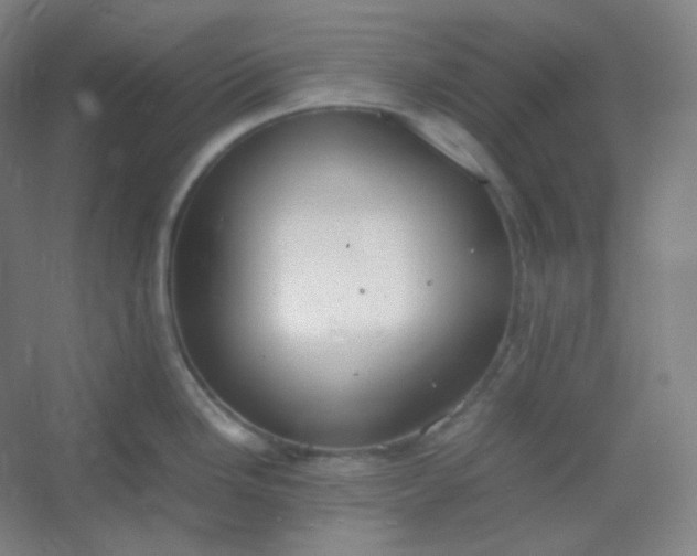 X0000054391246200508121624