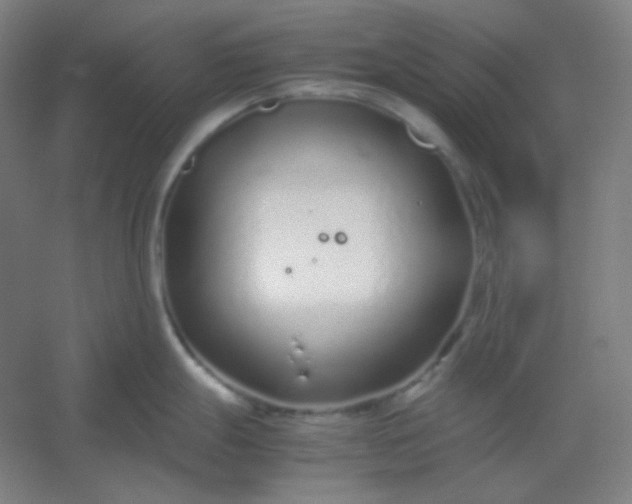 X0000054391247200508121624