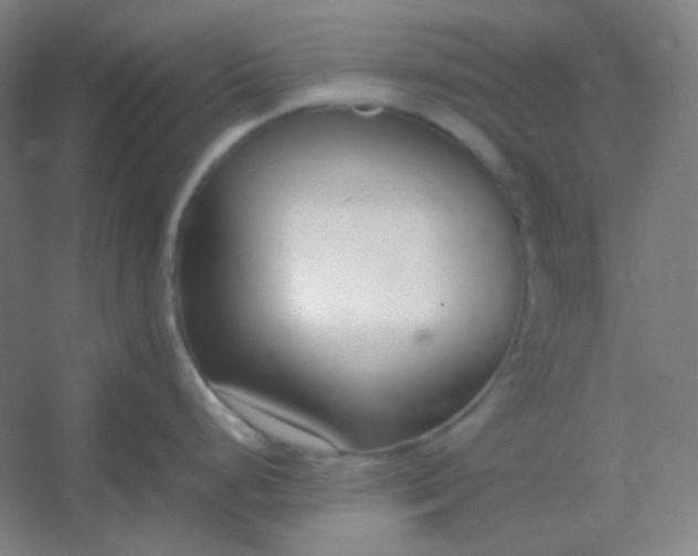 X0000054391248200508121624