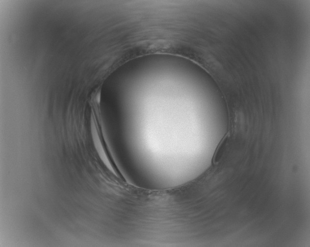 X0000054391250200508121623