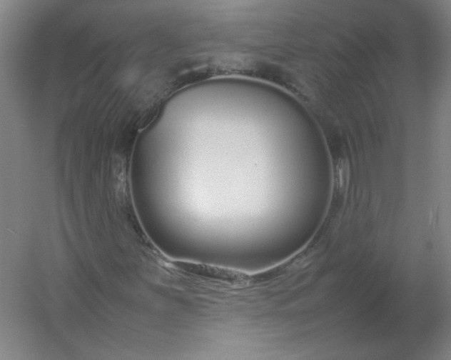 X0000054391251200508121623