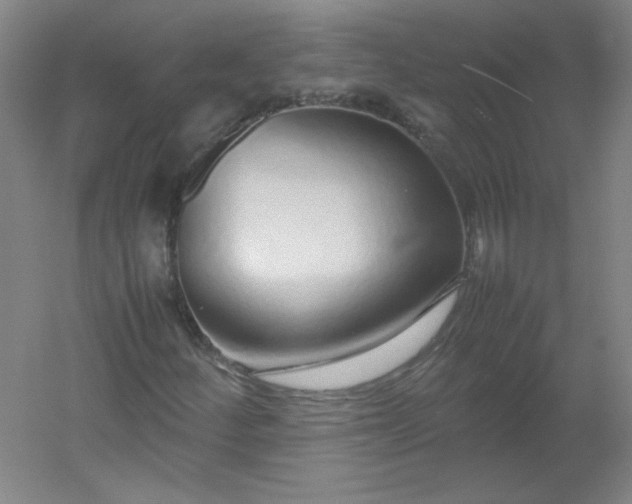 X0000054391252200508121623