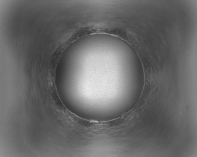 X0000054391253200508121623