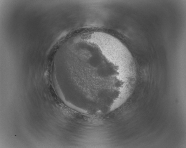 X0000054391254200508121623