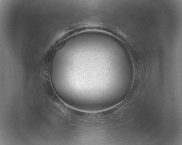 X0000054391255200508121623