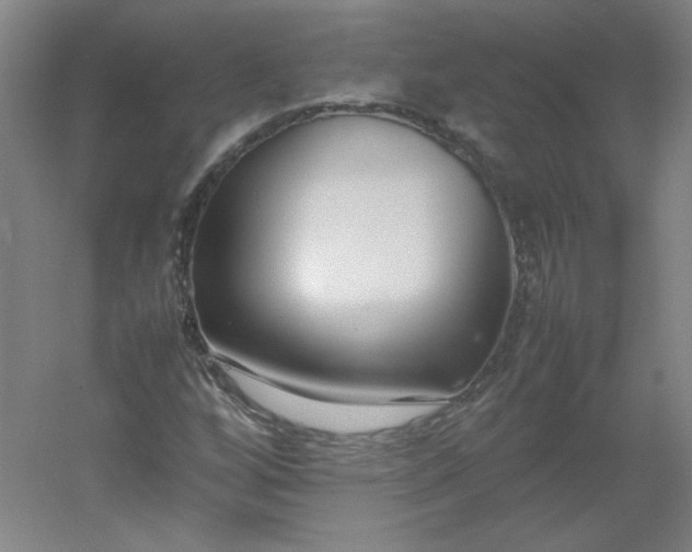 X0000054391256200508121623