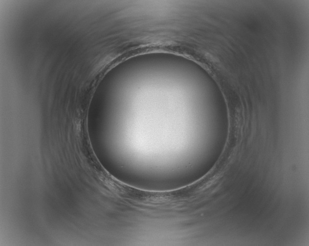 X0000054391257200508121623