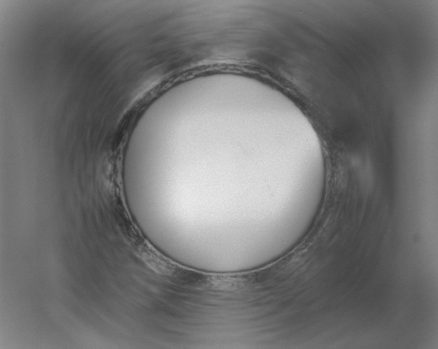 X0000054391258200508121623