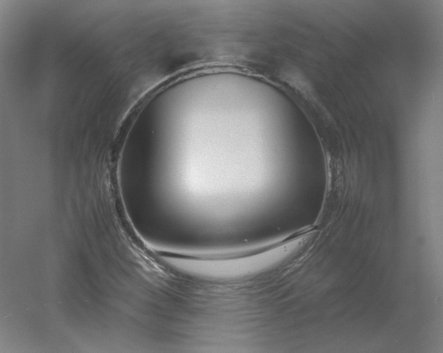 X0000054391260200508121623