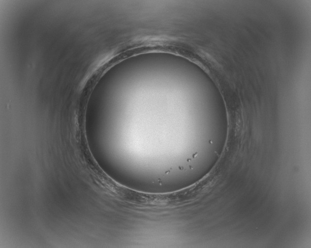 X0000054391261200508121623