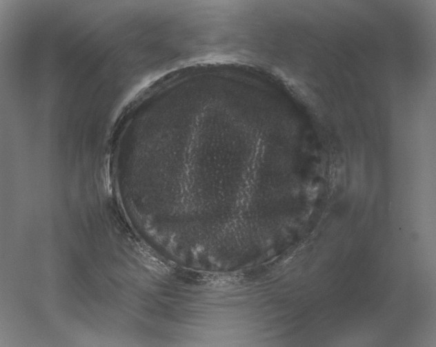 X0000054391262200508121623