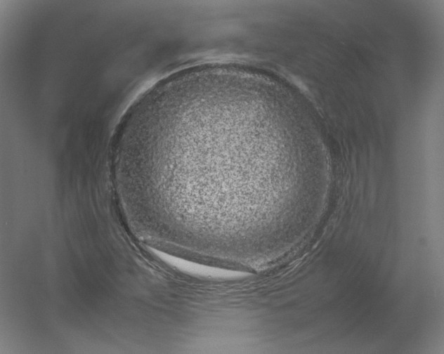 X0000054391263200508121623