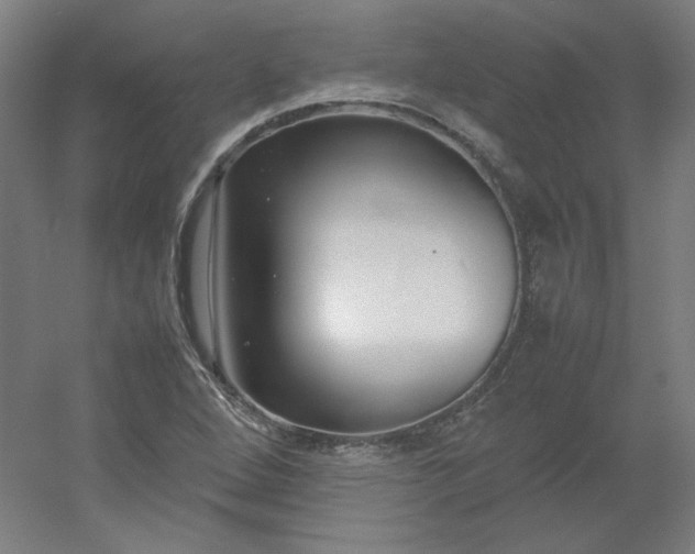 X0000054391264200508121623