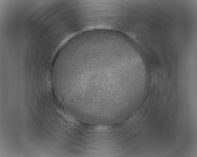 X0000054391266200508121623