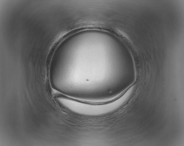 X0000054391267200508121623